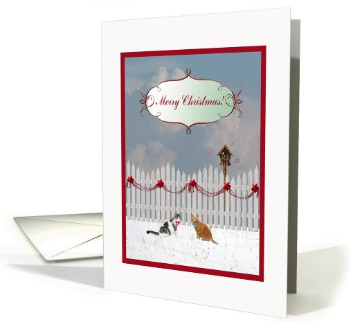 Cats Listening to a Bird Sing, Merry Christmas to Piano Teacher card