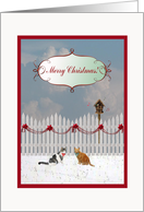 Cats Listening to a Bird Sing, Merry Christmas to Piano Teacher card