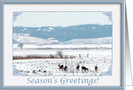 Deer Family, We are Having a Baby card
