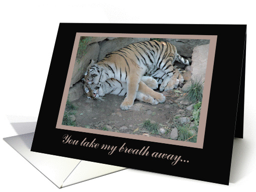 You take my breath away...,Valentine card (332675)