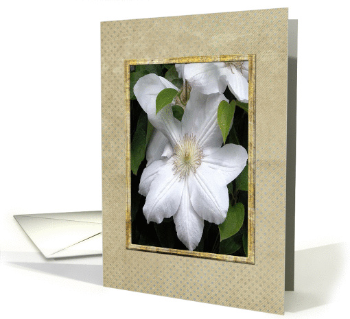 Clementis, Sympathy in French, Loss of a Grandma card (338852)