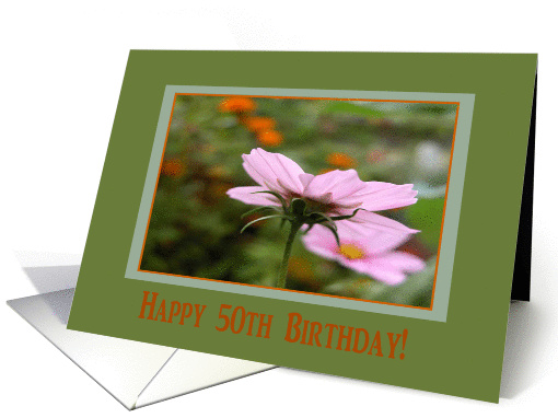 Happy 50th Birthday, Cosmos Flower card (348084)