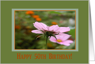 Happy 50th Birthday, Cosmos Flower card