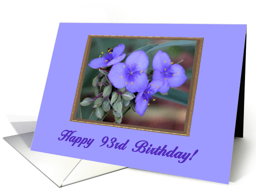 Happy 93rd Birthday!, Spiderwort Flowers card (361391)