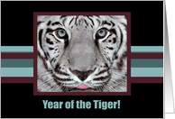Year of the Tiger! card