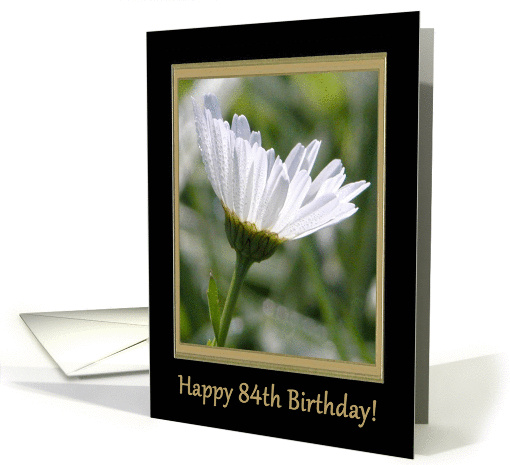 Happy 84th Birthday, White Ox eye Daisey card (363729)