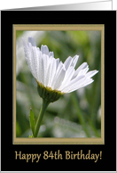 Happy 84th Birthday, White Ox eye Daisey card