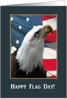 Eagle Profile and Our Flag, Happy Flag Day card