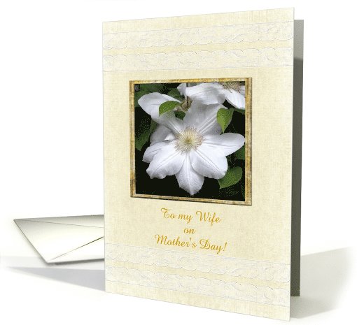 Mother's Day, White Clementis, For Wife card (410469)