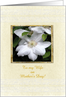 Mother’s Day, White Clementis, For Wife card