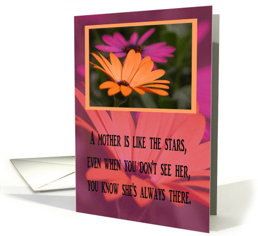 Gerber Daisies, From Son, A mother is like the stars card (416975)