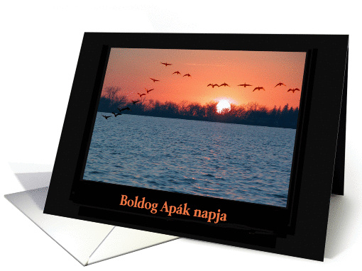 Boldog Apk napja, Happy Father's Day in Hungarian, Flight... (427334)