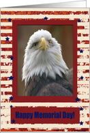 Happy Memorial Day, Eagle and Stars card