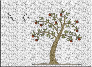 Sukkot, Pomegranate...