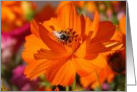 Marigold with Bee, September Birth Flower card