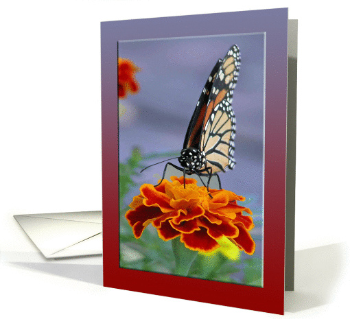 Marigold with Monarch, September Birthday Flower card (460506)