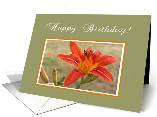 Wood Lily in Frame, May's Birth Flower, Happy Birthday! card (468845)