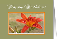 Wood Lily in Frame, May’s Birth Flower, Happy Birthday! card