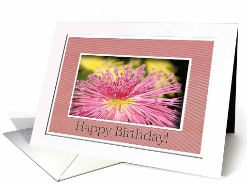 Pink Chryanthemums, November's Birth Flower card (468866)