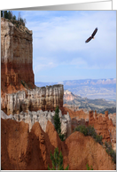 Eagle in the Canyon,...