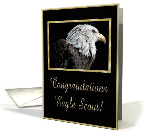 Eagle Profile, Black and Gold Frame, Congratulations Eagle Scout! card