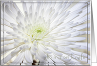 Chrysanthemum, Wish You Early Day Recover, In Chinese card