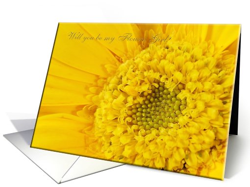 Yellow Gerber Daisey / Close up / To Sister / Will you be... (480559)