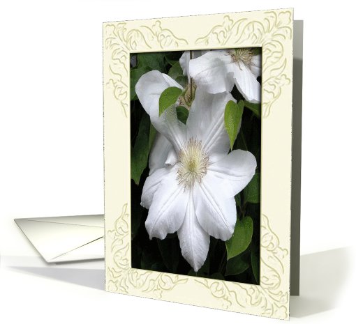 White Clematis / Happy 100th Birthday! card (486561)