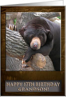 Happy 17th Birthday Grandson, Black Bear card