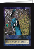 Peacock, Happy Anniversary card