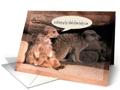 Meerkats /As the Days go by / Thinking of you / Humor card (513525)