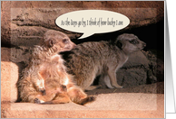 Meerkats /As the...