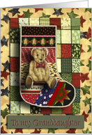 Teddy Bear Stocking with Stars, Baby’s First Christmas, For Granddaughter card