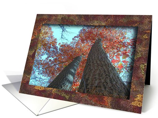 Tall Trees / At this Thanksgiving / In Remembrance card (516048)
