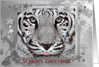 White Tiger, Season...