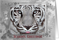 White Tiger, Season’s Greetings card