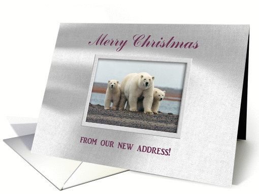 Polar Bear Family, Merry Christmas from our new address card (533474)