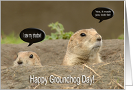 Groundhog Day, Humor card