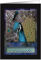 Peacock, Thank you in Japanese, Arigato card