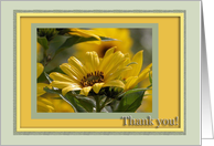 Yellow Compass Flowers, Administrative Professionals Day, Thank you card