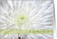 Chryanthemum, Bridesmaid, To my Best Friend card