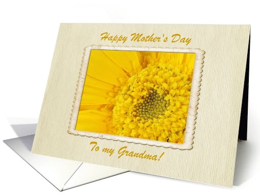 Mother's Day, Grandmother, Gerber Daisy card (607699)