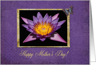 Mother’s Day, Water Lily, For Wife card