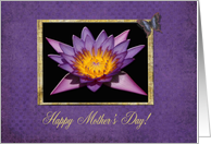 Mother’s Day, Water Lily, Grandmother card