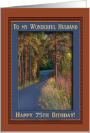 Birthday, 75th, To Husband, Colors at Sundown card