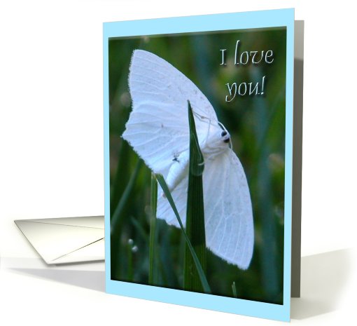 I love you, Little White Moth card (659740)