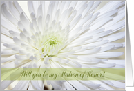 Invitation, Matron of Honor, Sister, White Mum card