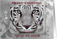 We have moved, White Tiger, Wild Merry Christmas card