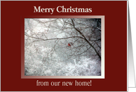 Cardinal in the Winter Snow Storm, Merry Christmas from our new home card