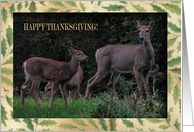 Deer Family, Happy Thanksgiving, Across the Miles card